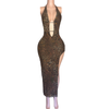 Mesh Backless Halter leopard maxi dresses